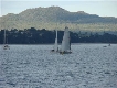 Finish of the 2011 RNI... Leg 4 to Auckland